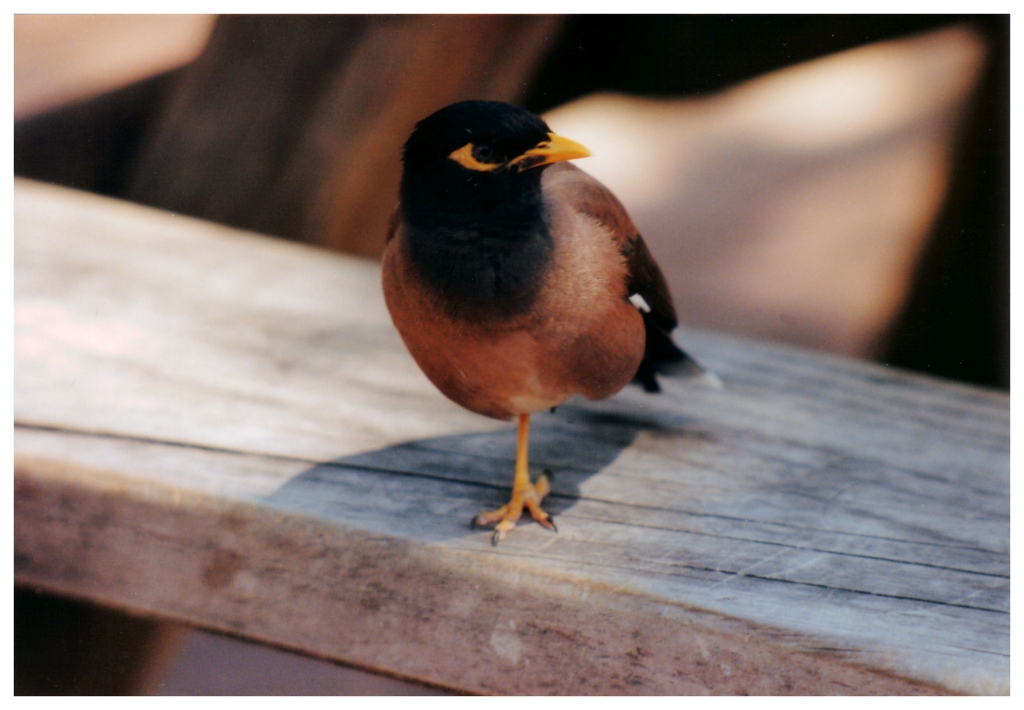 04 - Queensland (37).jpg